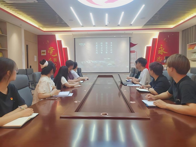 太阳成tyc7111cc员工第四党支部组织开展“端午文化新传承，青春向党正当时”主题党日活动